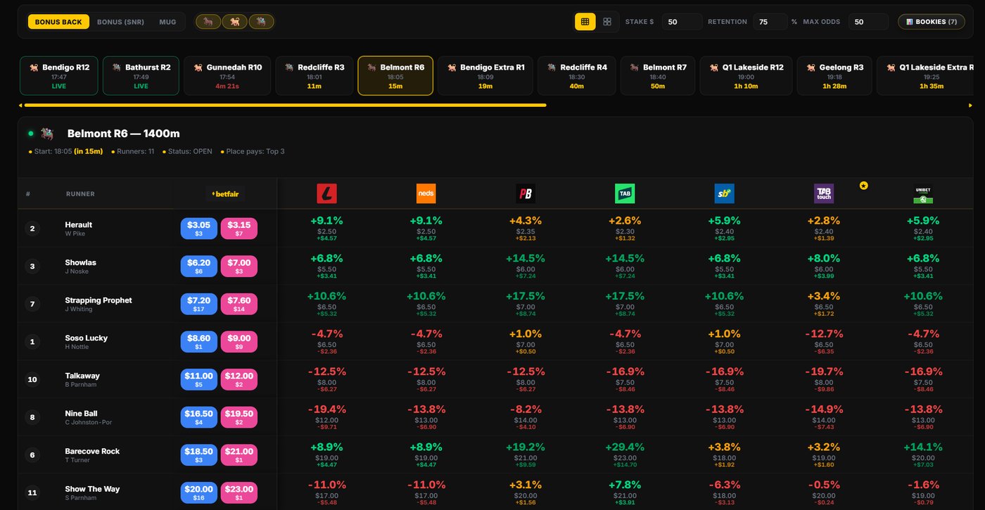 The DegenToPro racing software in action - field-wide price comparison across every bookmaker.